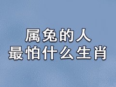 屬兔的人最怕什么生肖：